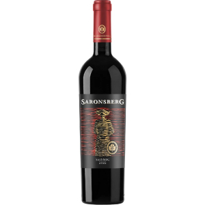 Saronsberg Seismic 2022