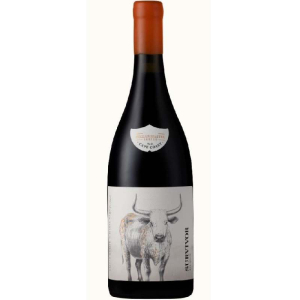 Survivor Cellar Master...