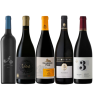 Top 5 Shiraz Collection 2025