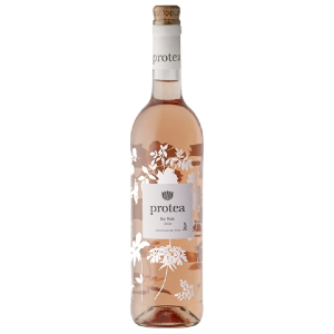 Protea Rose 2024