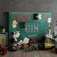 The Gin Box Advent Calendar...
