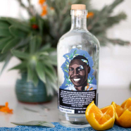 The Gin Artist - Westcoast...